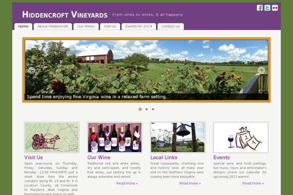 WordPress website example screenshot