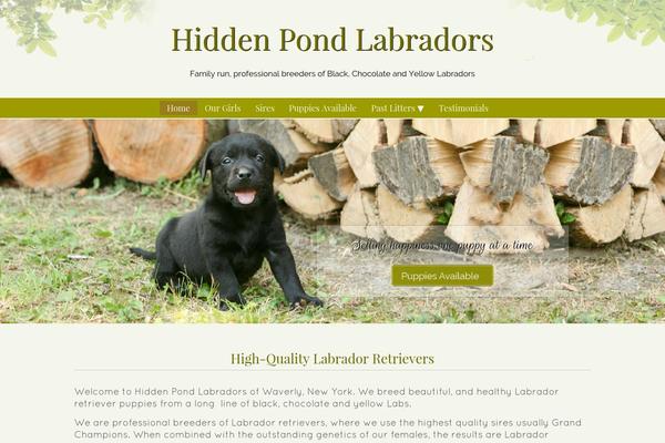 Headway theme site design template sample