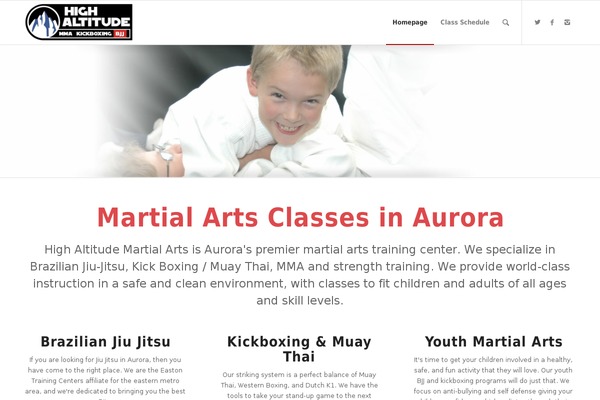 Enfold theme site design template sample