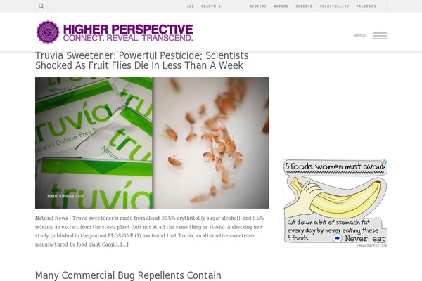 higherperspective.com site used Hive-master
