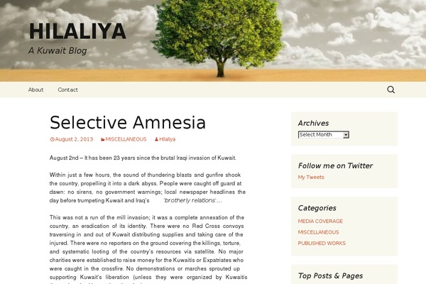 Twenty Thirteen theme site design template sample