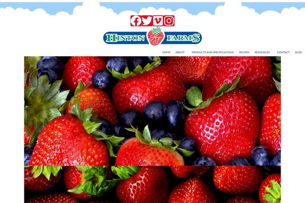 OrganicFood theme site design template sample