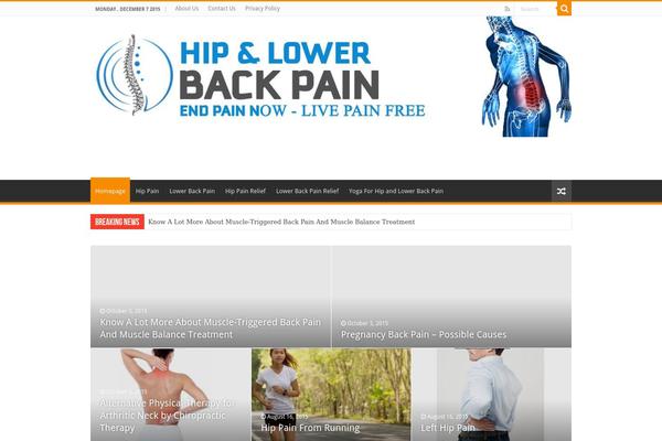 Sahifa theme site design template sample