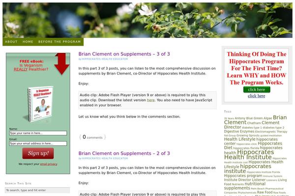 Thesis_182 theme site design template sample