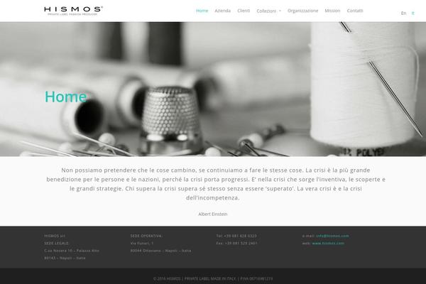 Salient theme site design template sample