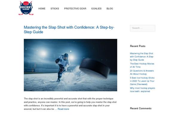 WordPress website example screenshot