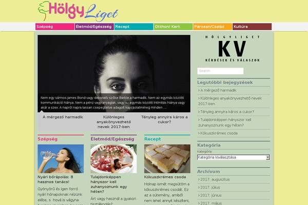 Xin Magazine theme site design template sample