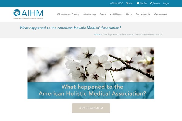 guru-child theme websites examples