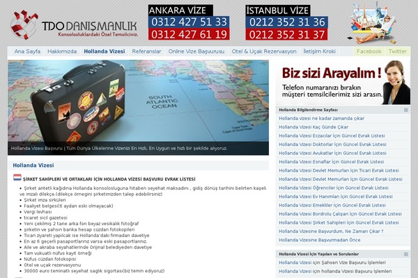 Vizesi theme site design template sample