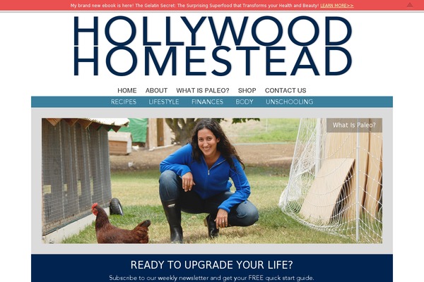 hollywoodhomestead.com site used Hollywood-homestead
