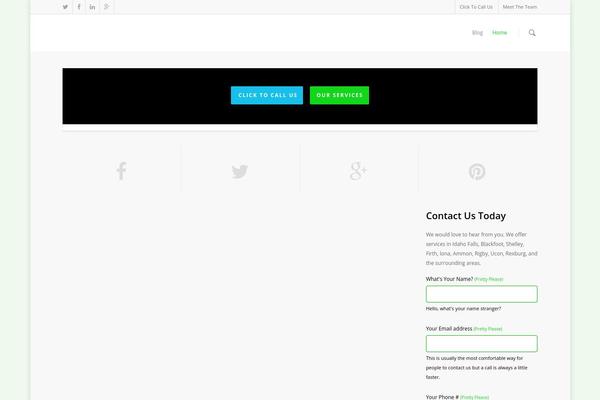 WordPress website example screenshot