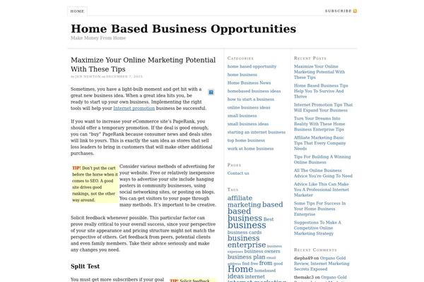 WordPress website example screenshot