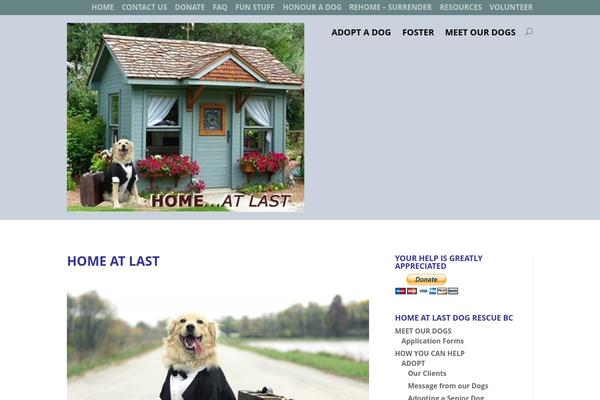 Divi-9 WordPress theme, websites list used Divi-9 theme Divi-9 theme websites examples