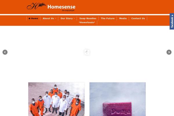 homesenseghana.com site used Food-cook-child