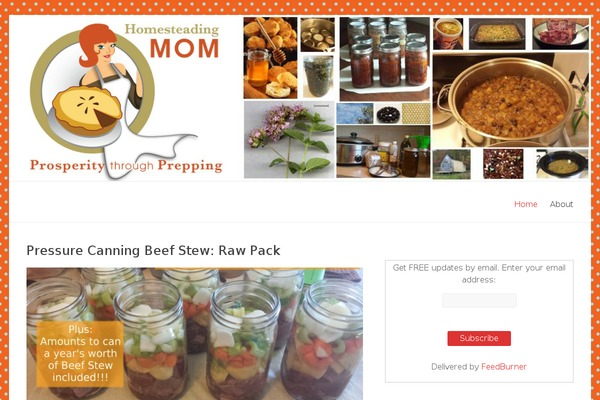 Spacious theme site design template sample