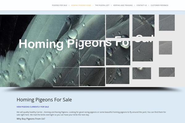 homingpigeonsforsale.com site used Seodesign