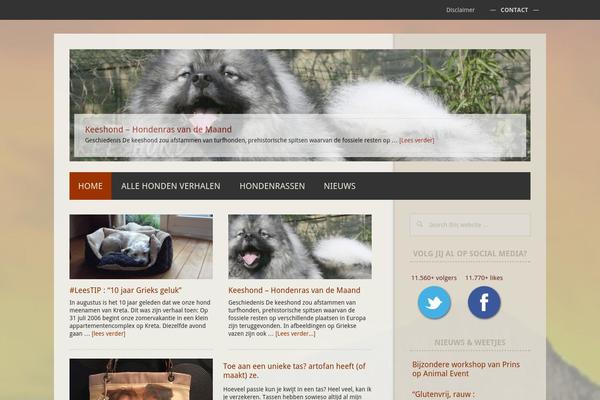 WordPress website example screenshot