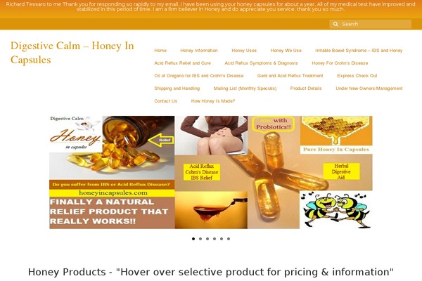 Virtue theme site design template sample