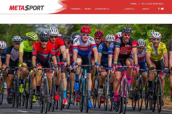 Bridge Child theme site design template sample