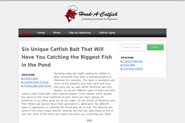 hookacatfish.org site used Isquar