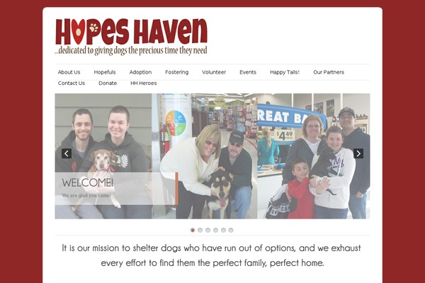 WordPress website example screenshot