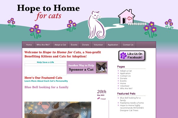hopetohomeforcats.org site used A little touch of purple