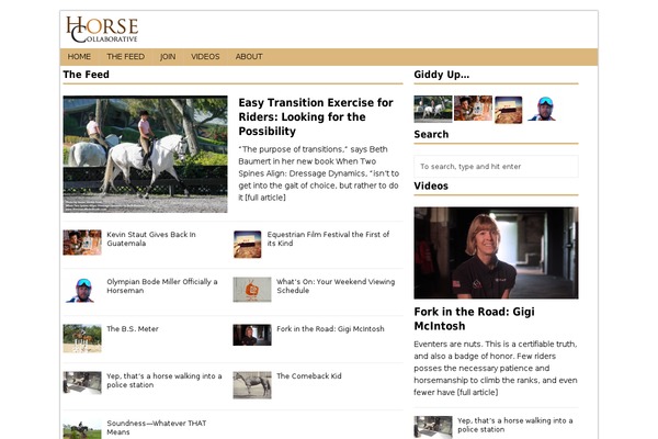 horsecollaborative.com site used Redtag