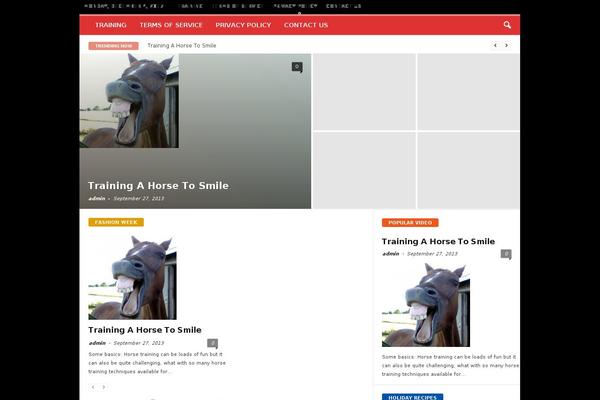 horsemastery.com site used NewsMag