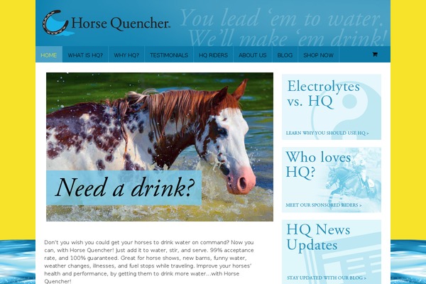 Canvas theme site design template sample