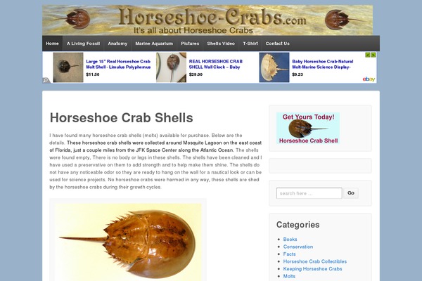 Responsive theme site design template sample