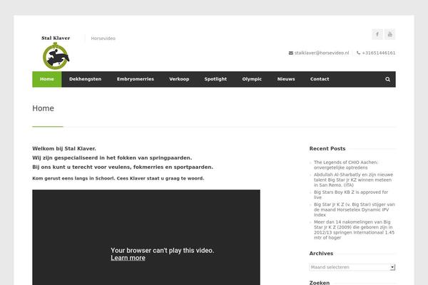 WordPress website example screenshot