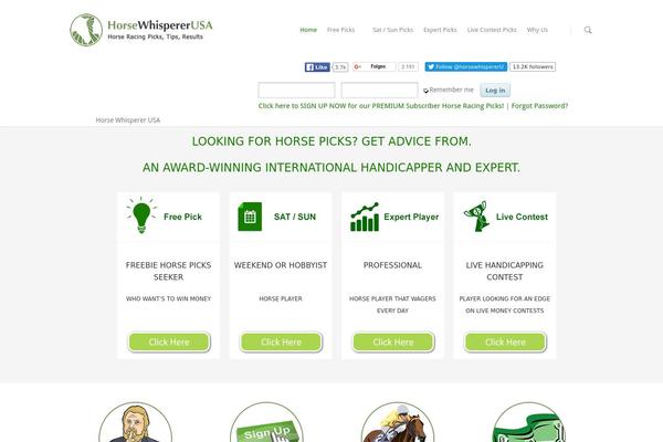 Salient theme site design template sample