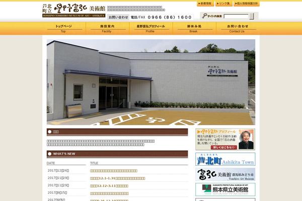 hoshino-museum.com site used Hoshino