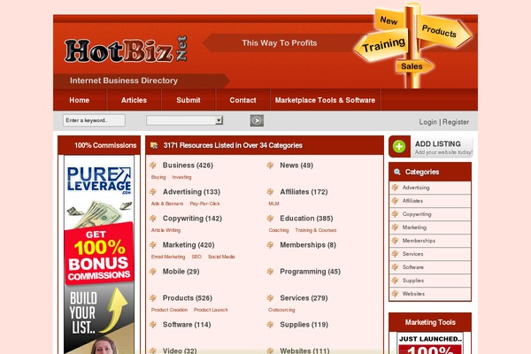 WordPress website example screenshot