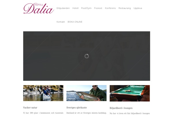 Salient theme site design template sample