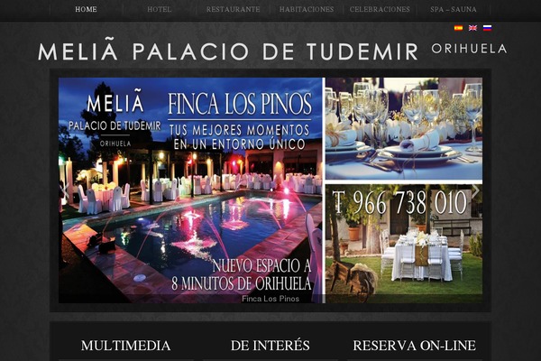 hotelpalaciotudemir.com site used Theme1751