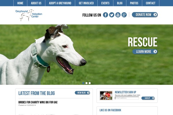 houndsavers.org site used Greyhound