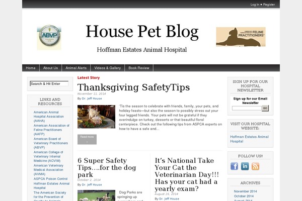 Magazine Basic theme site design template sample