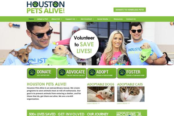Canvas theme site design template sample