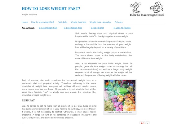 howloseweightfasttips.com site used Theme002