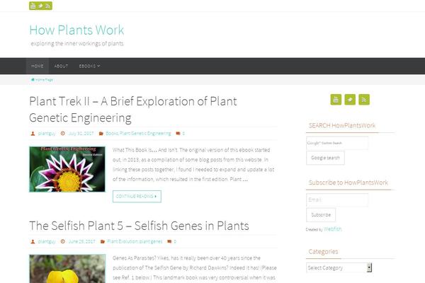 Site using Search by Google plugin
