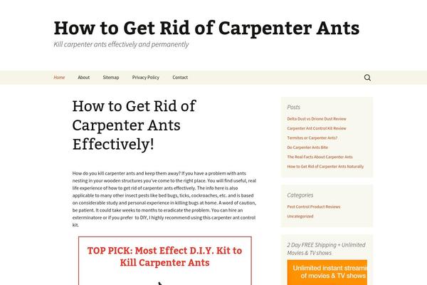 Twenty Thirteen theme site design template sample