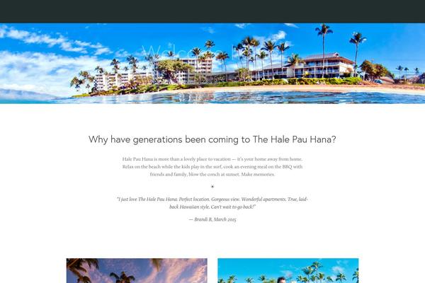 thepalace-child theme websites examples