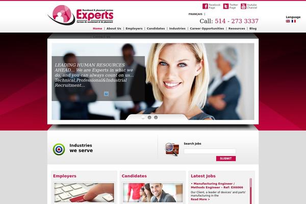 Experts theme site design template sample