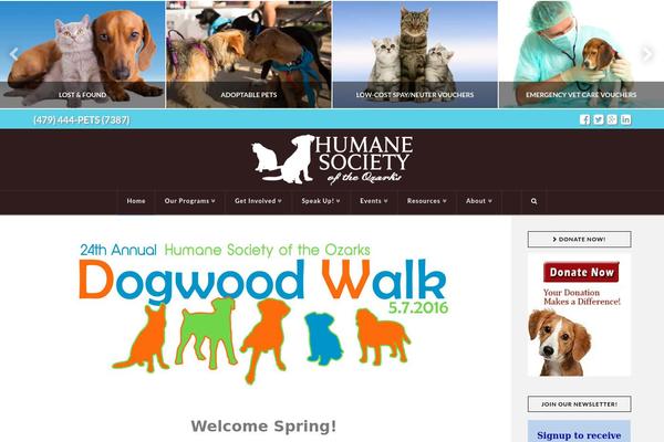 X | The Theme theme site design template sample
