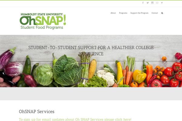 Site using Instagram Feed plugin