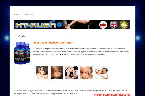 Twenty Twelve theme site design template sample