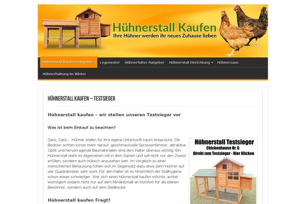 WordPress website example screenshot