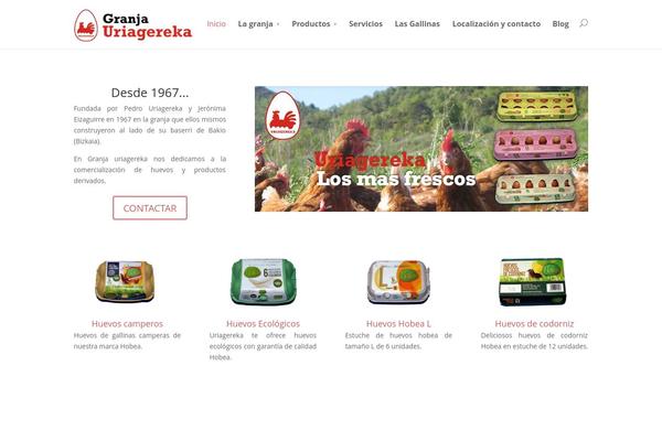 WordPress website example screenshot