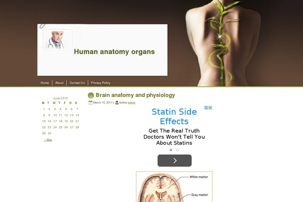 humananatomyorgans.com site used Chiropractic